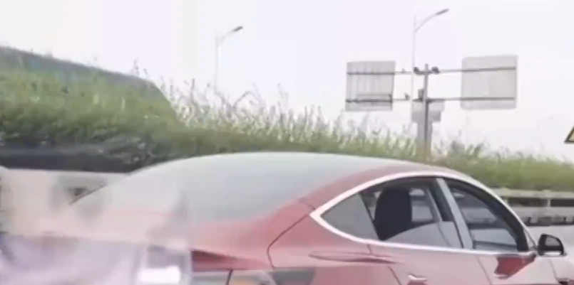 法本