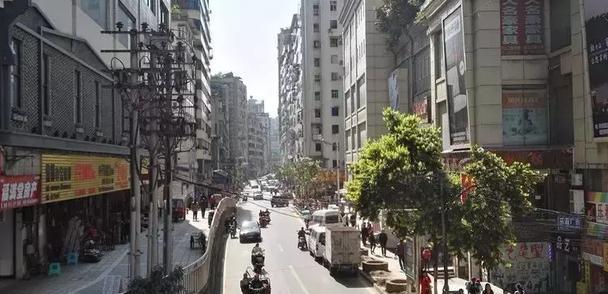 蔡丽文