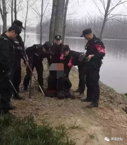 皮昆卉